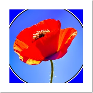 Circular Framed Digital Red Poppy Flower (MD23Mrl0017) Posters and Art